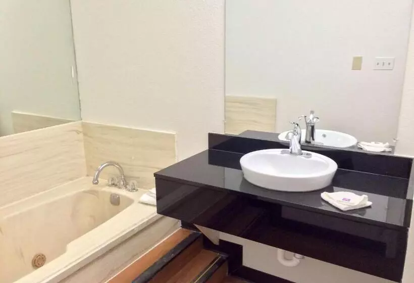 سوئیت با تخت بزرگ, Motel 6longview, Tx  North