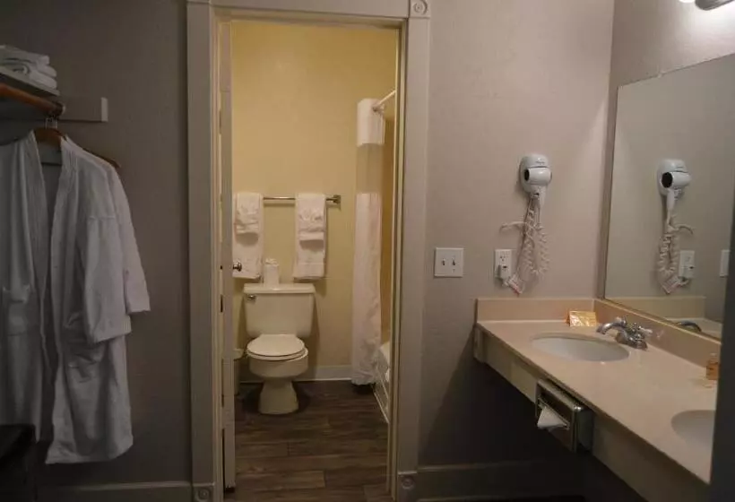 سوئیت با تخت بزرگ, Palm Canyon Hotel And Rv Resort