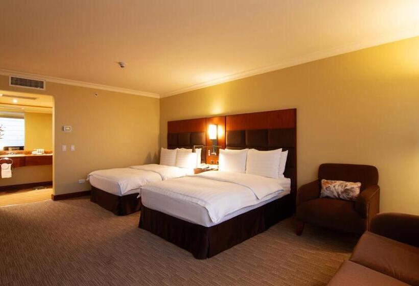 标准间, Swissotel Quito