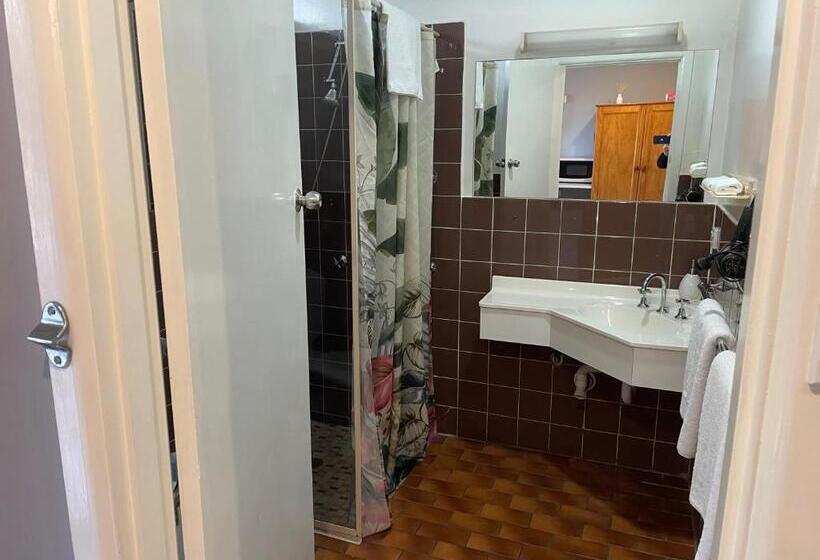 クラシックルーム, Camperdown Cascade Motel