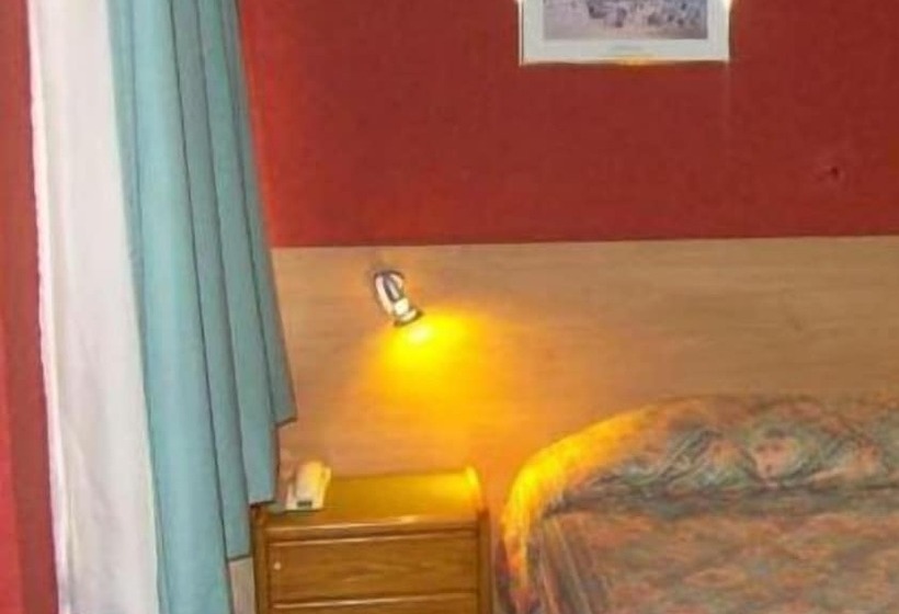 اتاق استاندارد یک نفره, Evergreen