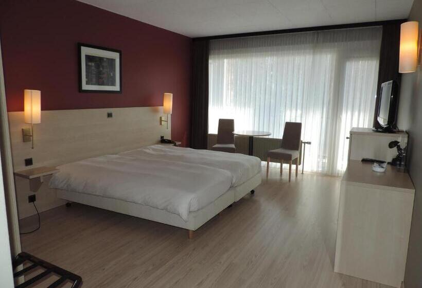 スタンダードルーム, Panorama