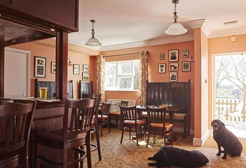 اتاق لوکس با چشم‌انداز باغ, Corse Lawn House