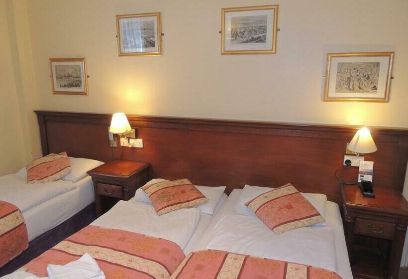 スタンダードトリプルルーム, Dolphin