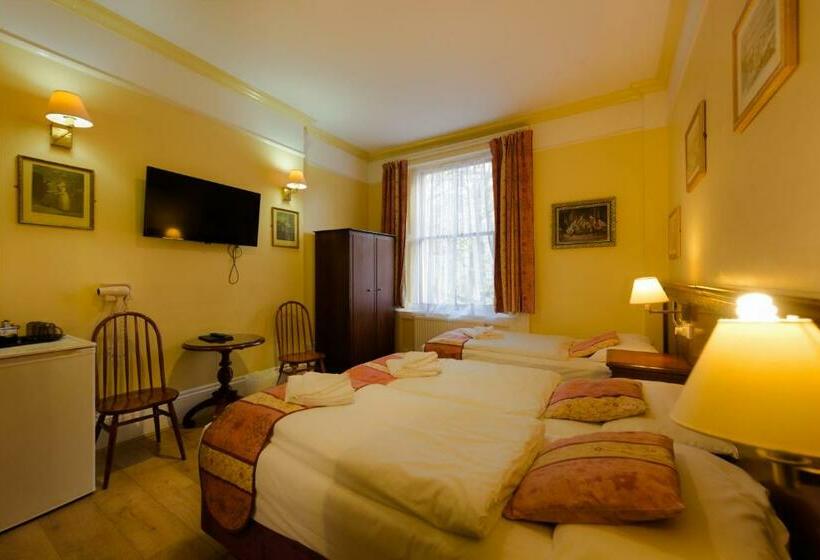 スタンダードトリプルルーム, Dolphin