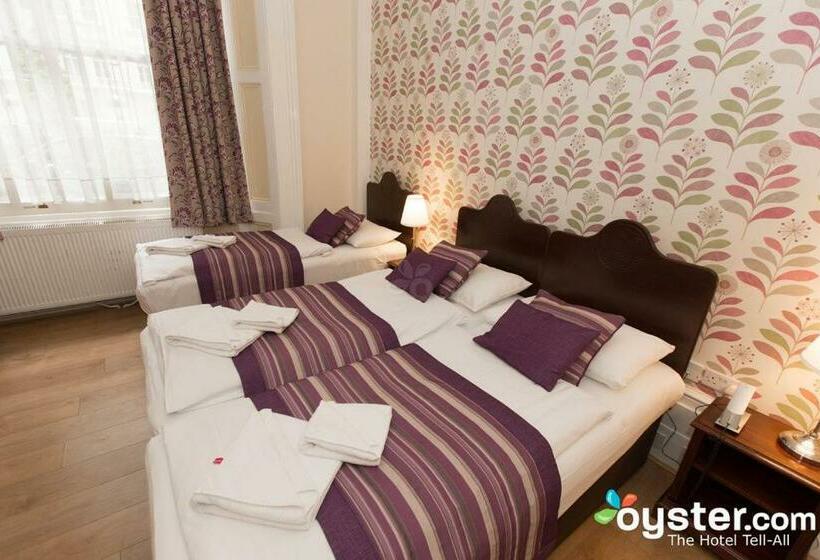 スタンダードトリプルルーム, Dolphin