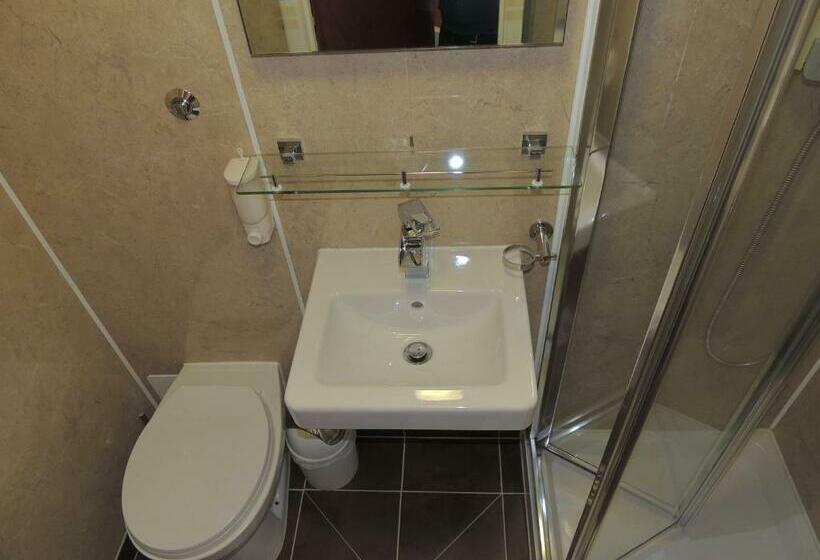 スタンダードトリプルルーム, Dolphin