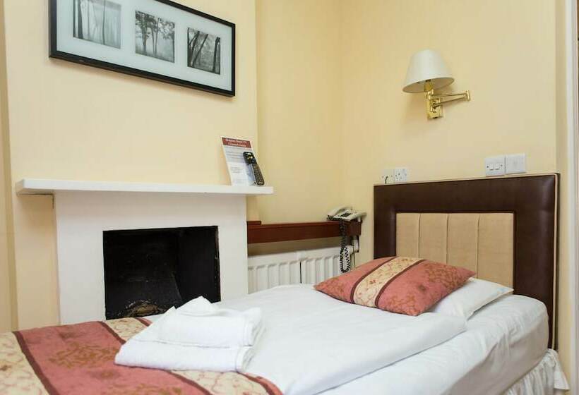 スタンダードシングルルーム, Dolphin