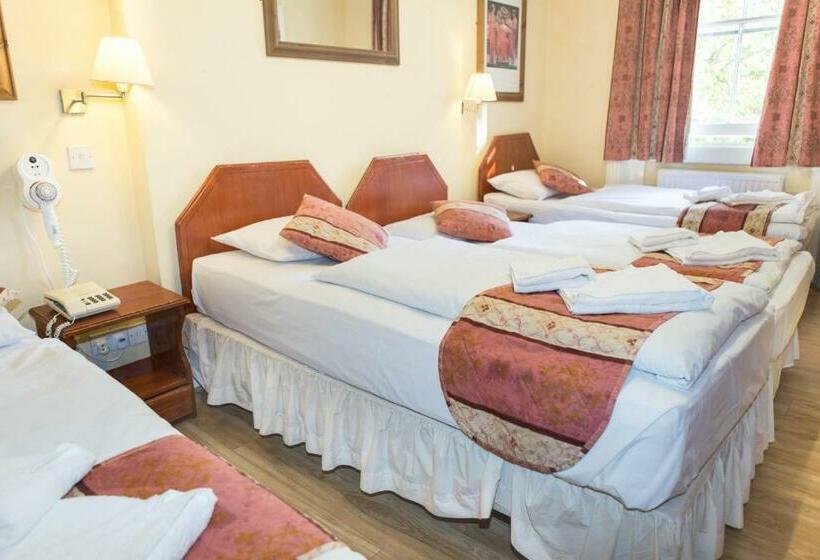 スタンダード４人部屋, Dolphin