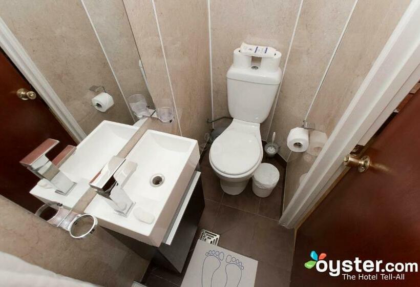 スタンダード４人部屋, Dolphin