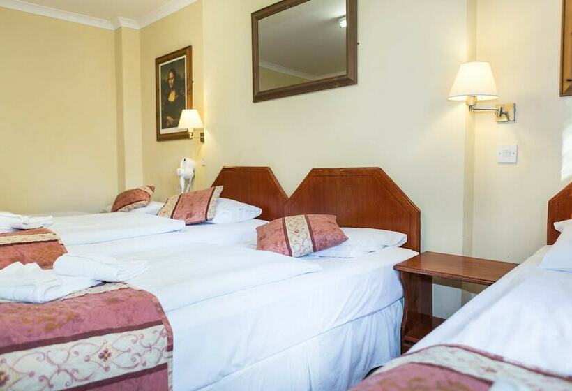 スタンダード４人部屋, Dolphin