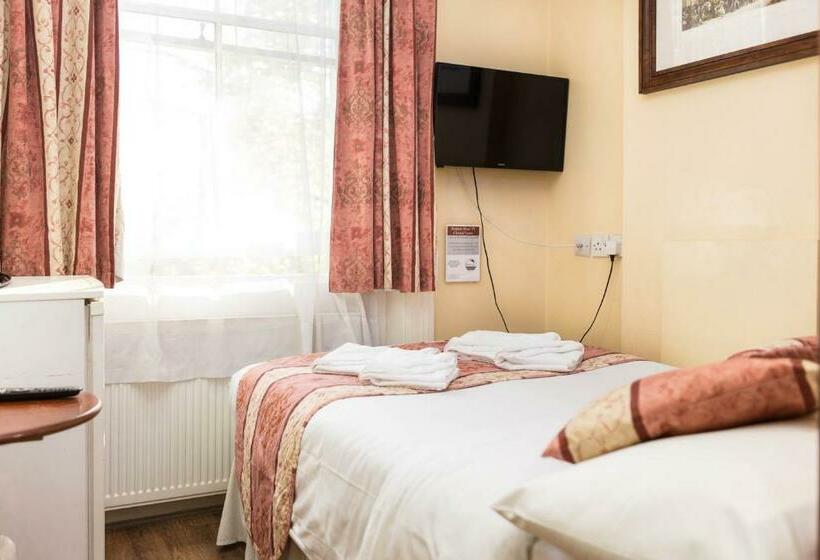 スタンダードルーム, Dolphin