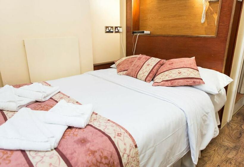 スタンダードルーム, Dolphin