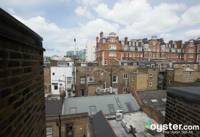 ファミリールーム, Dolphin