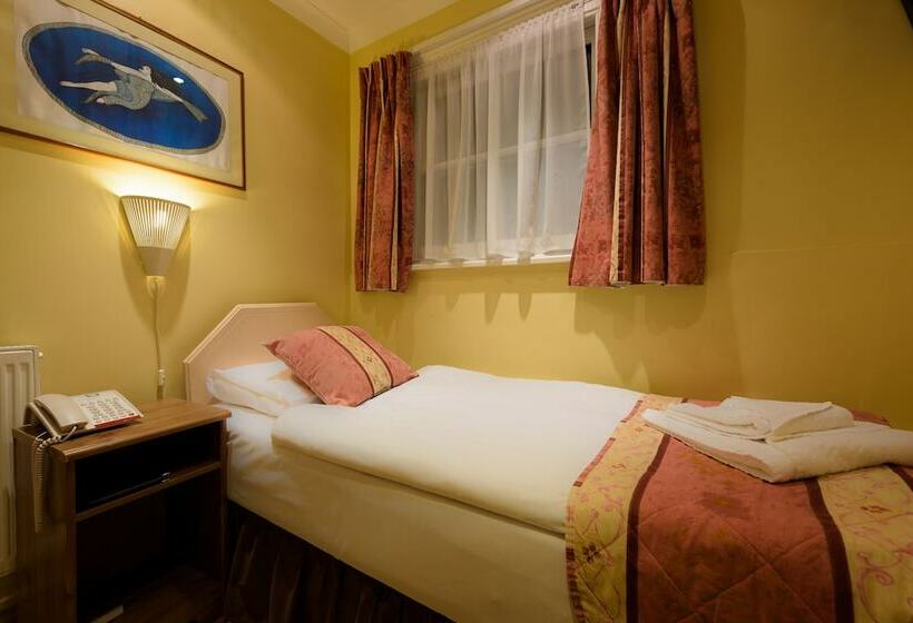 エコノミーシングルルーム, Dolphin