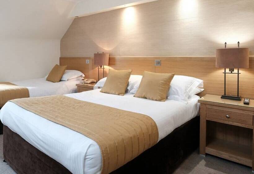 חדר משפחתי, The City