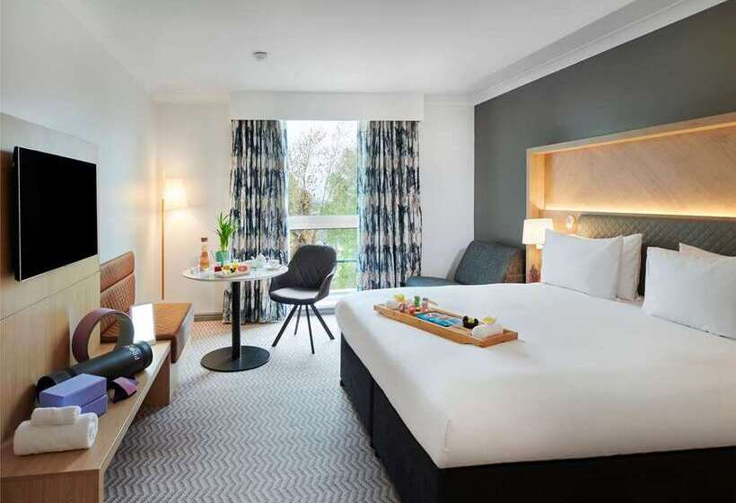 带大床的豪华间, Hilton London Croydon