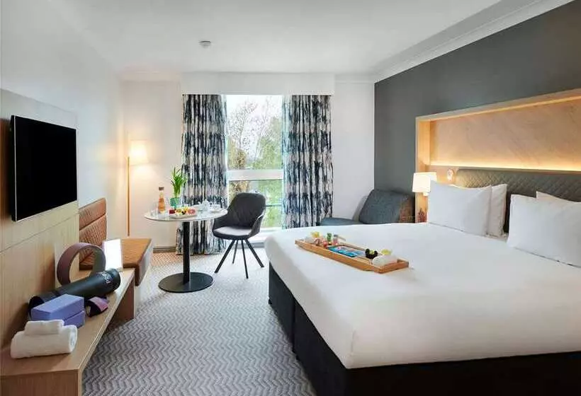اتاق لوکس با تخت بزرگ, Hilton London Croydon