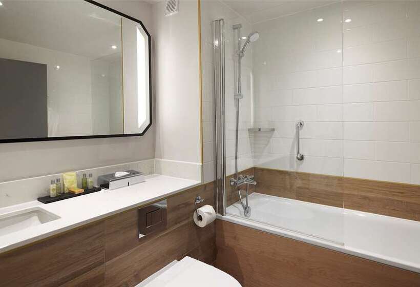 带大床的豪华间, Hilton London Croydon