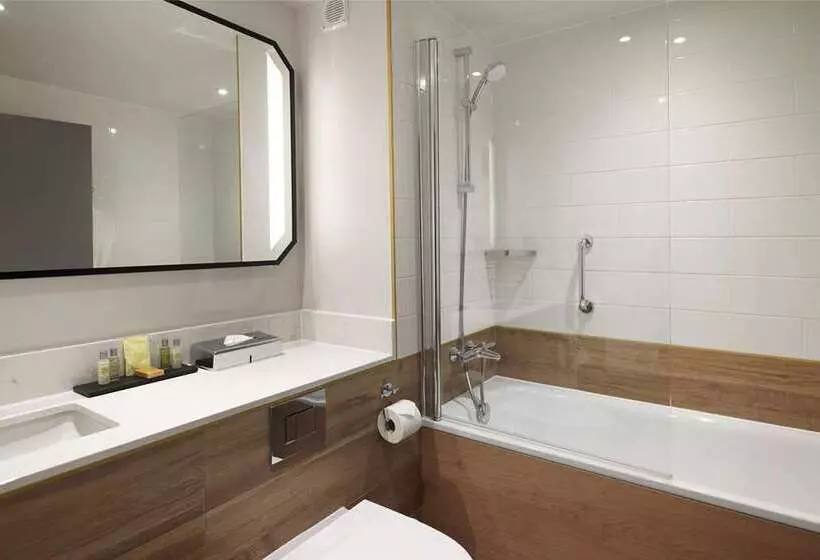 اتاق لوکس با تخت بزرگ, Hilton London Croydon