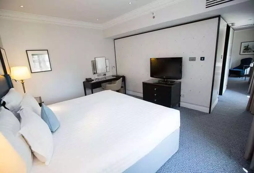 اتاق لوکس با تخت بزرگ, Hilton London Croydon