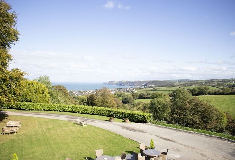 Студия Стандарт Двуспальная Кровать, The Penrallt Country House