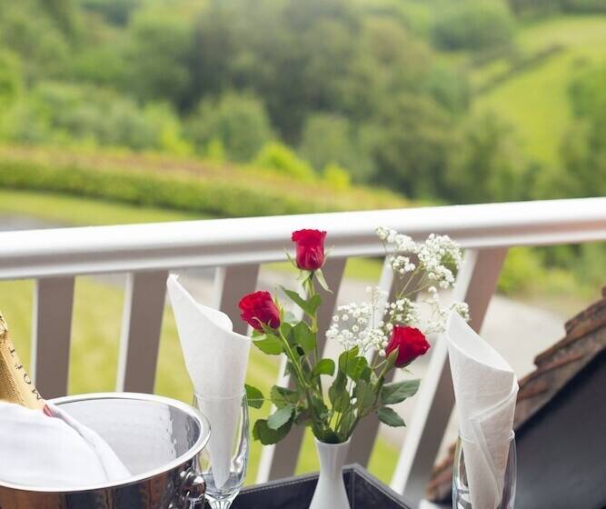 Студия Стандарт Двуспальная Кровать, The Penrallt Country House