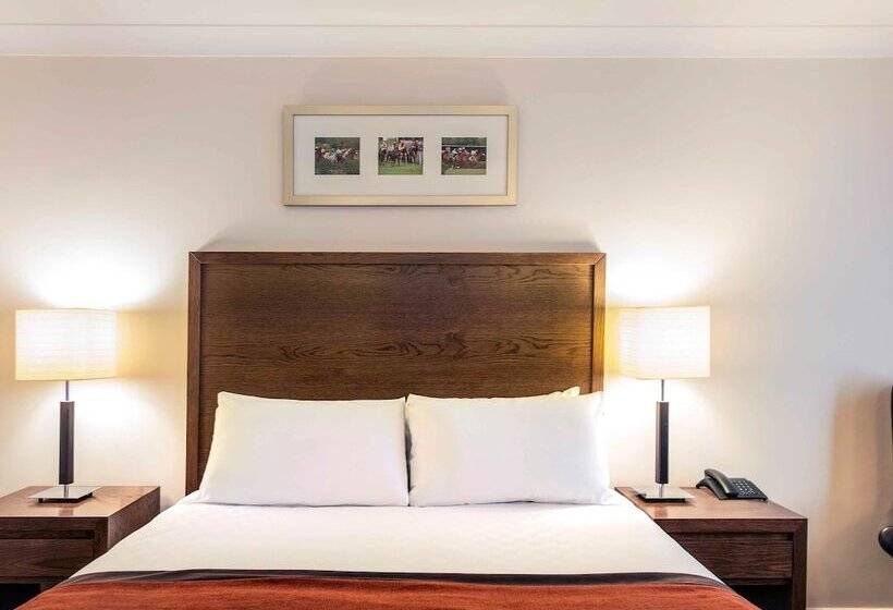 스탠다드 룸, Mercure Haydock