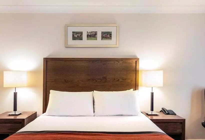Habitació Estàndard, Mercure Haydock