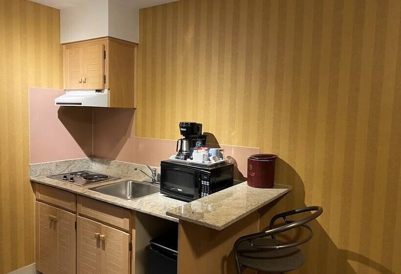 חדר סטנדרט, Executive Hotel Vancouver Airport