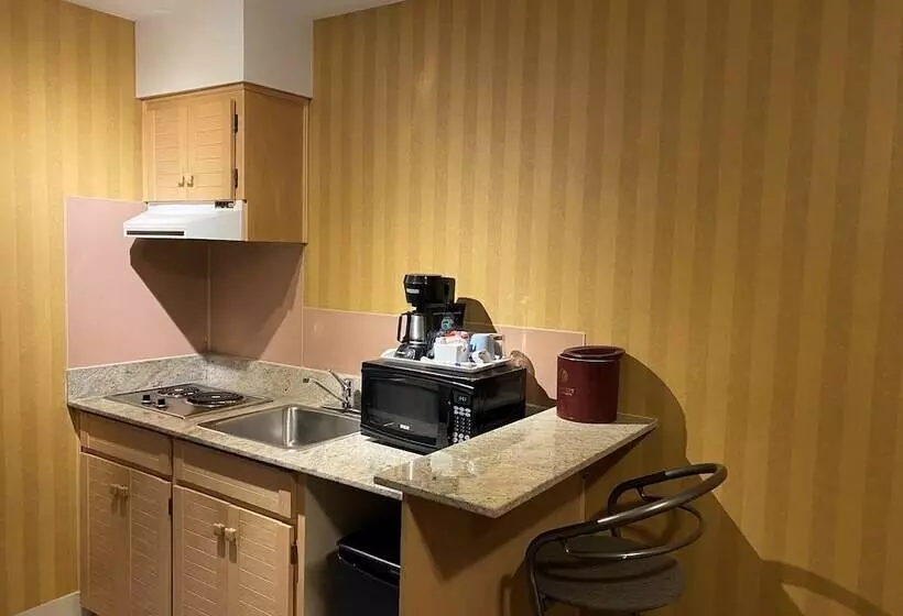 اتاق استاندارد, Executive Hotel Vancouver Airport