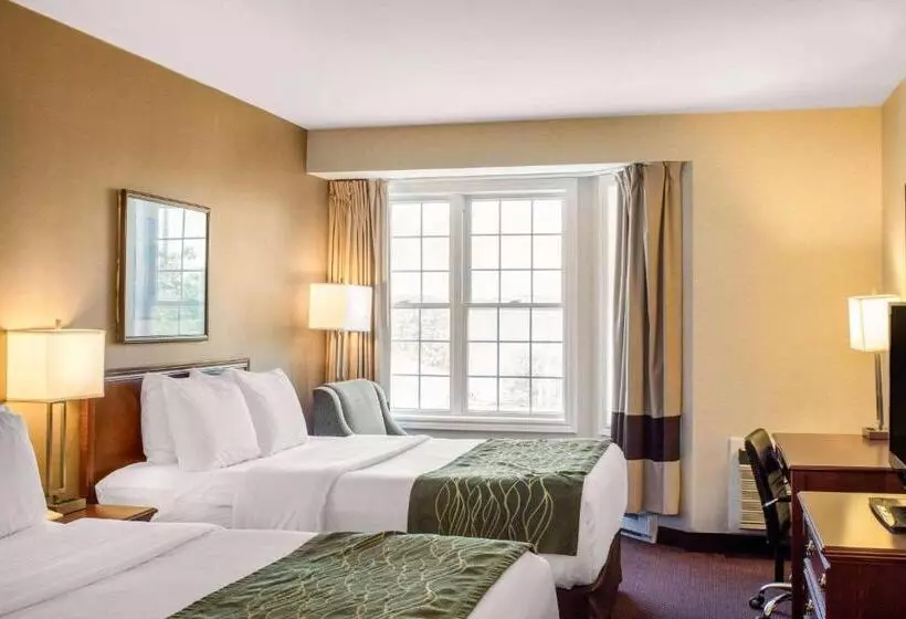 Standard-huone, Comfort Inn