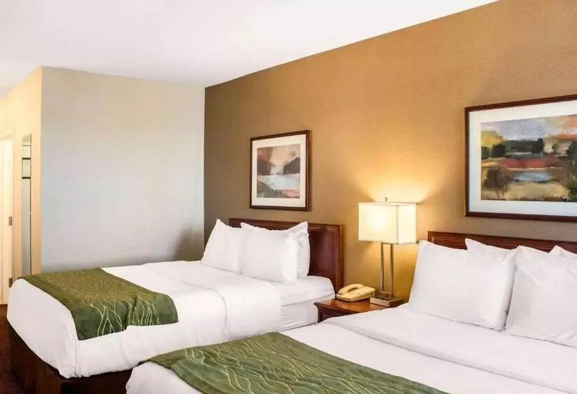 Standard-huone, Comfort Inn