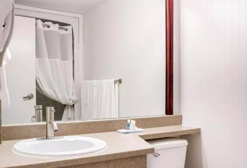 Standard-huone King-vuode, Comfort Inn