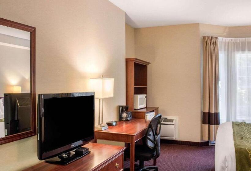 キングサイズベッドのスタンダードルーム, Comfort Inn