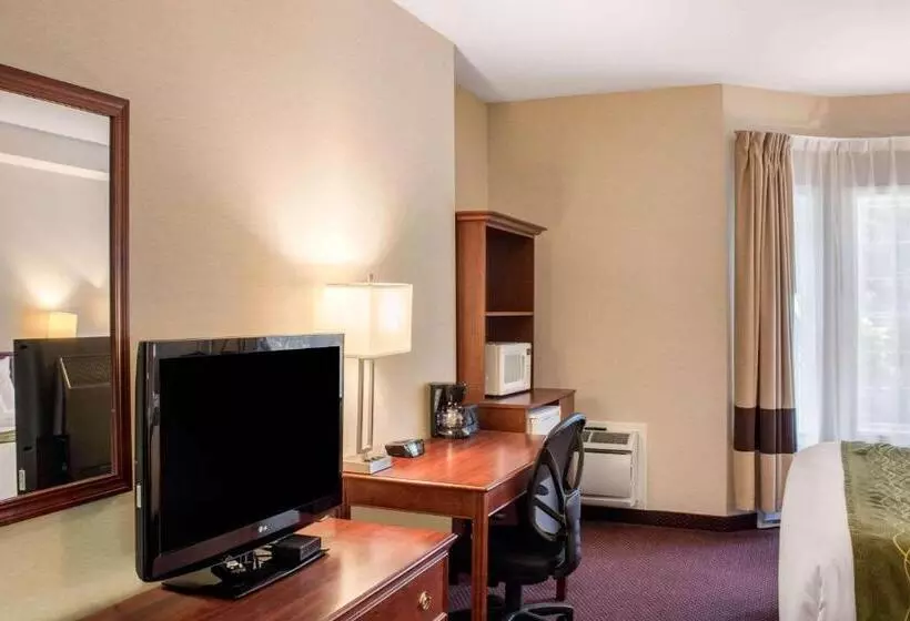 Standard-huone King-vuode, Comfort Inn