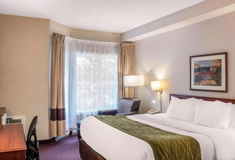 Standard-huone King-vuode, Comfort Inn