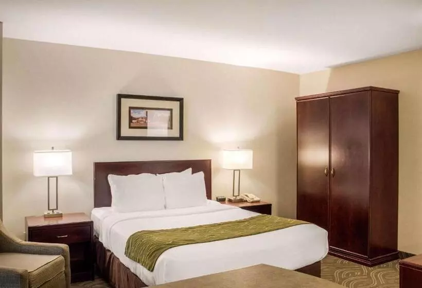 Standard-huone King-vuode, Comfort Inn