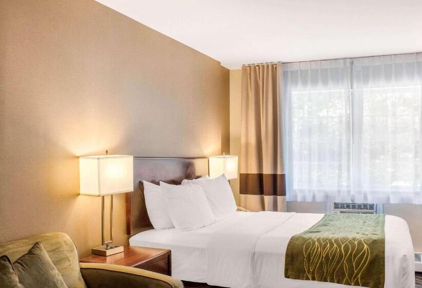 스탠다드 룸, Comfort Inn