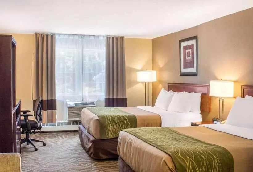 Standard-huone 2 Parivuodetta, Comfort Inn