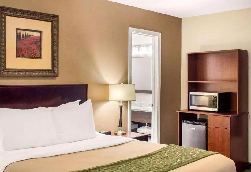Sviitti, Comfort Inn