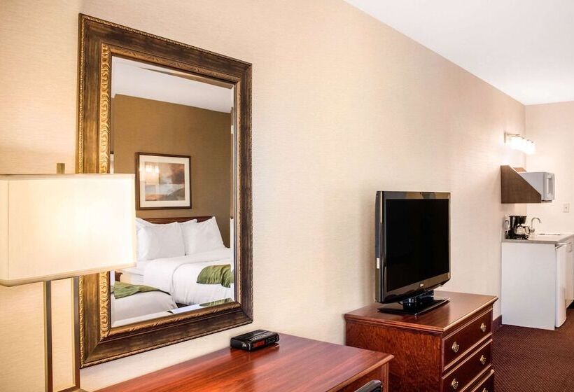 Номер Стандарт 2 Двуспальные Кровати, Comfort Inn