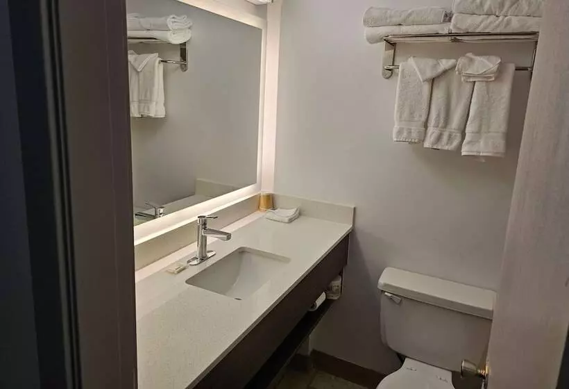 Standard-huone 2 Parivuodetta, Days Inn By Wyndham Swift Current
