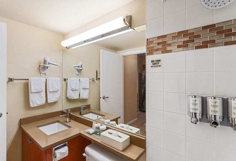 סוויטה, Executive Hotel Vancouver Airport