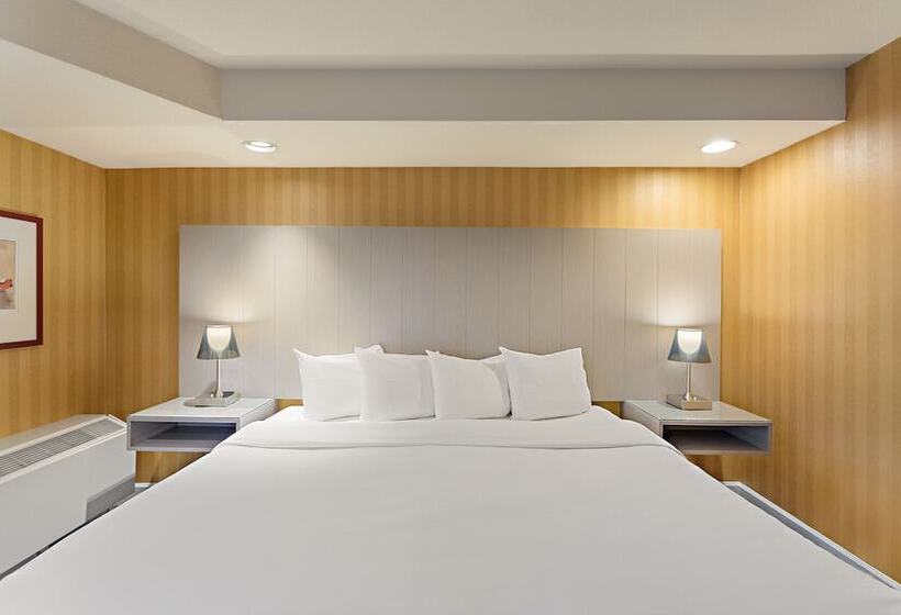 חדר סטנדרט, Executive Hotel Vancouver Airport