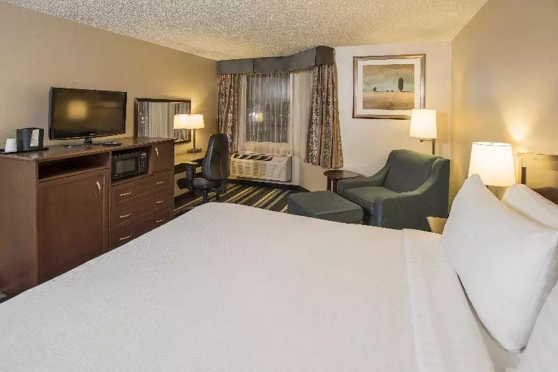 اتاق استاندارد با تخت بزرگ, Holiday Inn Conference Centre Edmonton South, An Ihg