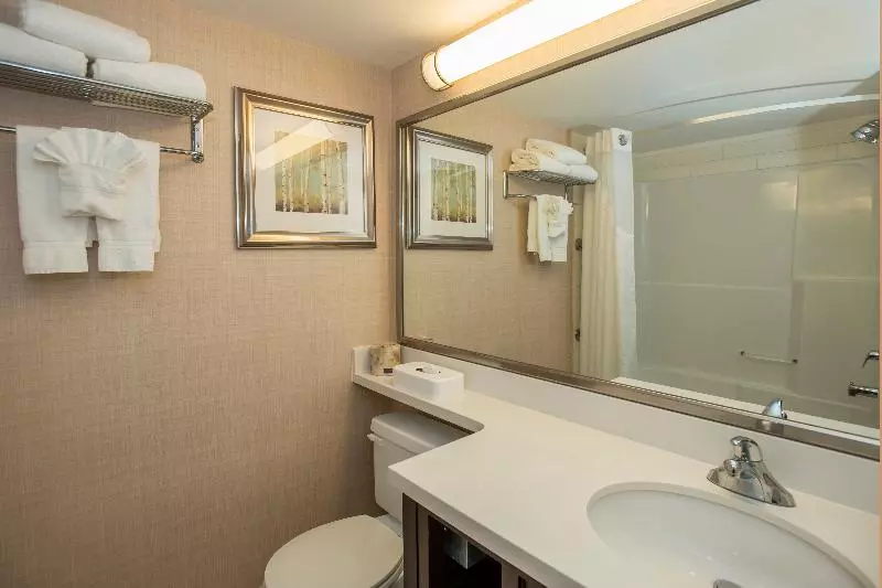 اتاق استاندارد با تخت بزرگ, Holiday Inn Conference Centre Edmonton South, An Ihg