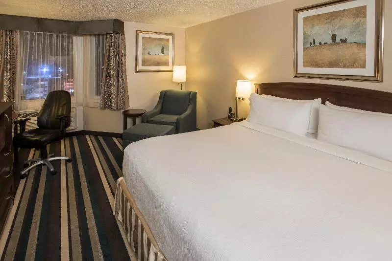 اتاق استاندارد با تخت بزرگ, Holiday Inn Conference Centre Edmonton South, An Ihg