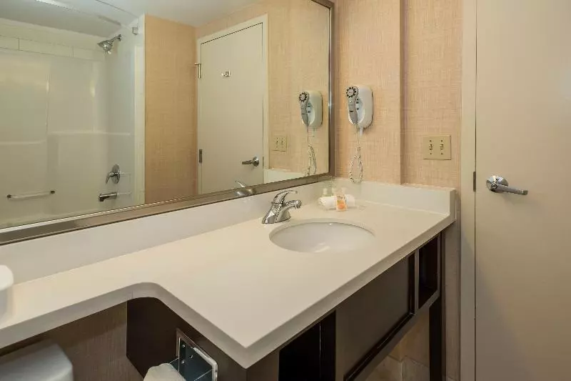 اتاق استاندارد با تخت بزرگ, Holiday Inn Conference Centre Edmonton South, An Ihg
