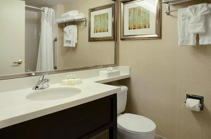 اتاق استاندارد با تخت بزرگ, Holiday Inn Conference Centre Edmonton South, An Ihg